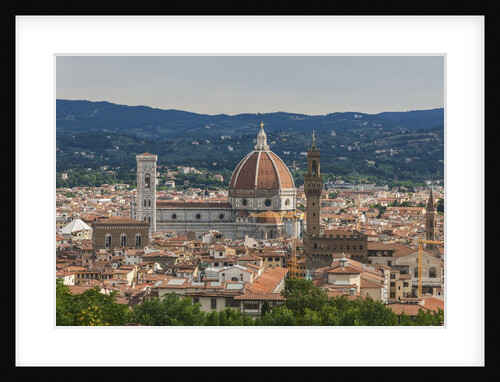View of Santa Maria del Fiore Cathedral and Palazzo Vecchio from Forte Belvedere by Anonymous