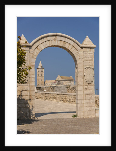 View of the Cathedral by Anonymous