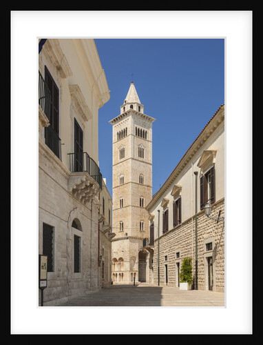 View of the Cathedral by Anonymous
