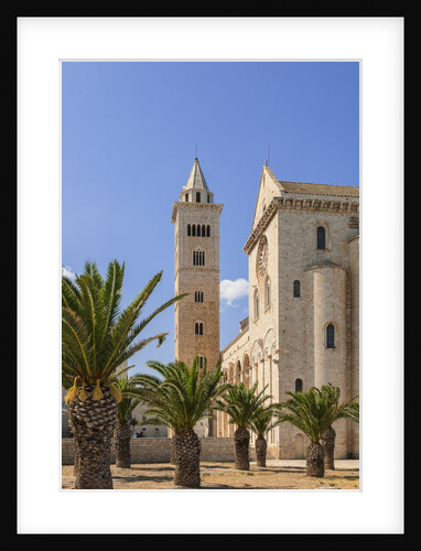 View of the Cathedral by Anonymous