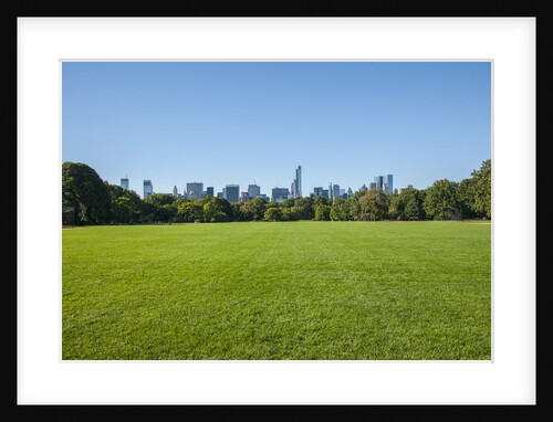 Central Park by Anonymous