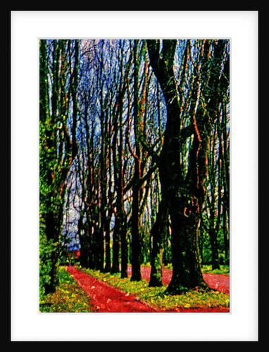 Trees and Way by Anonymous