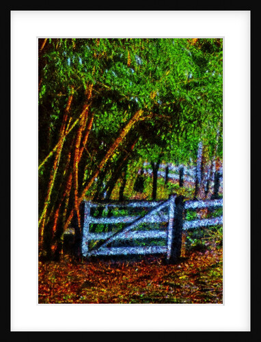 Gate by Anonymous