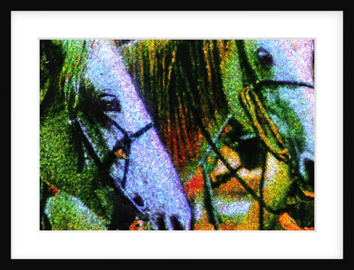 Horses by Anonymous