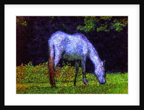 White Horse by Anonymous