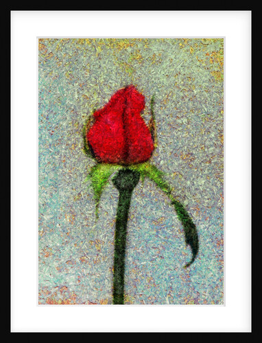 Rosebud by Anonymous