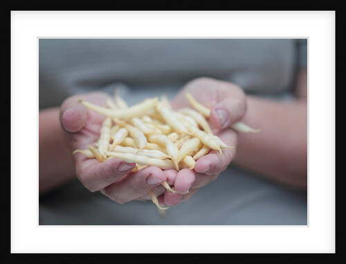 Woman holding green beans in her palms by Anonymous