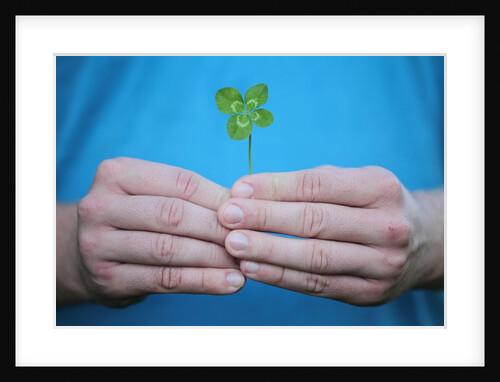 Man holding four-leaf clover by Anonymous