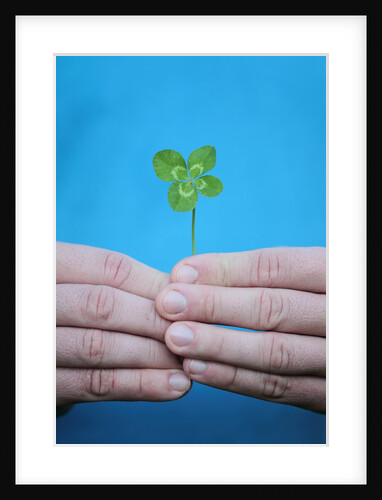 Man holding four-leaf clover by Anonymous