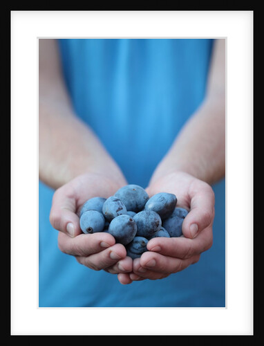 Man in blue t-shirt holds plum fruits in his palms by Anonymous