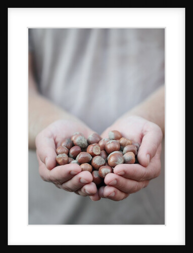 Man in khaki t-shirt holds hazelnuts in his palms by Anonymous