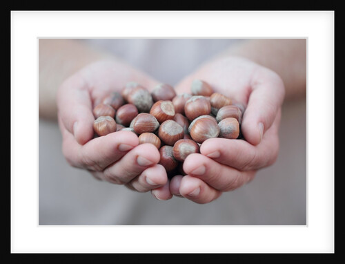 Man in khaki t-shirt holds hazelnuts in his palms by Anonymous