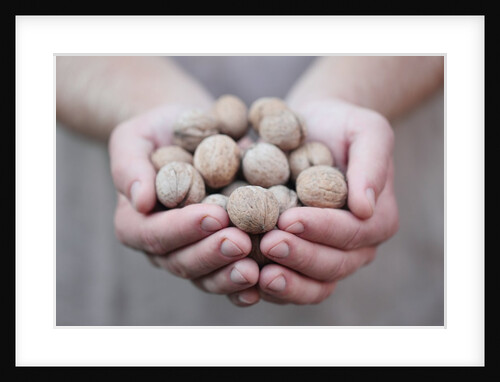 Man in khaki t-shirt holds walnuts in his palms by Anonymous