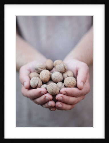 Man in khaki t-shirt holds walnuts in his palms by Anonymous