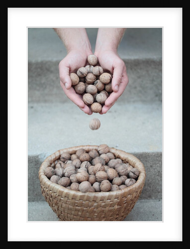 Man strewing walnuts into a bulrush basket on stairs by Anonymous