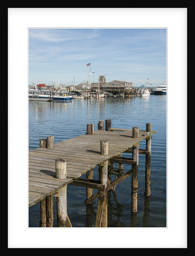 The Harbor by Anonymous