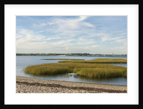 Race Point by Anonymous