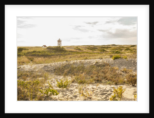 Race Point by Anonymous