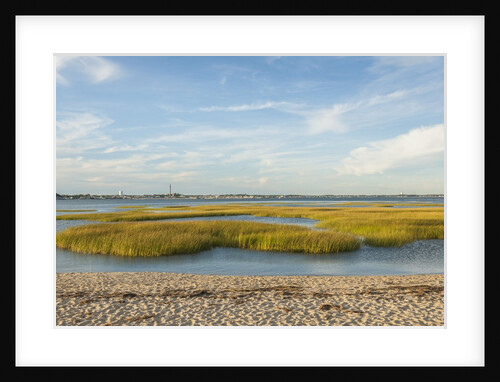 Race Point by Anonymous