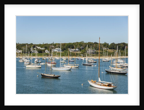 Vineyard Haven Harbor by Anonymous