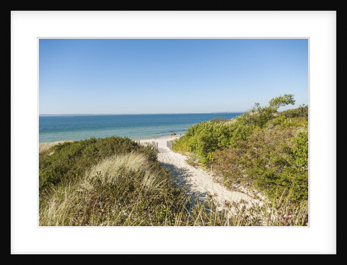 Lambert's Cove Beach by Anonymous