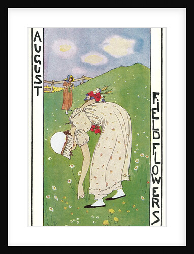 August Field Flowers by Anonymous