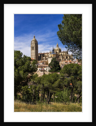 The Cathedral and the town by Anonymous
