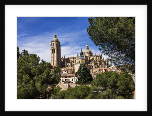 The Cathedral and the town by Anonymous