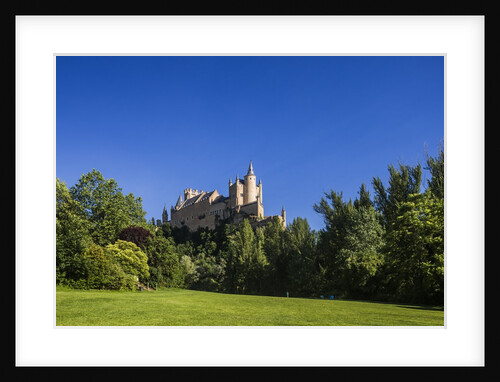 View of the AlcÃƒÂ¡zar (Castle) de Segovia by Anonymous