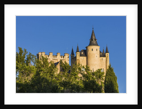 View of the AlcÃƒÂ¡zar (Castle) de Segovia by Anonymous