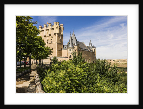 View of the AlcÃƒÂ¡zar (Castle) de Segovia by Anonymous