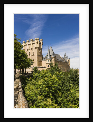 View of the AlcÃƒÂ¡zar (Castle) de Segovia by Anonymous