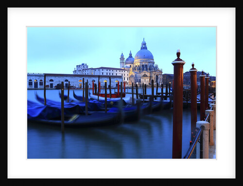 S.Maria della Salute church on the Canal Grande. by Anonymous