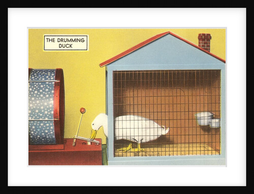 The Drumming Duck by Anonymous