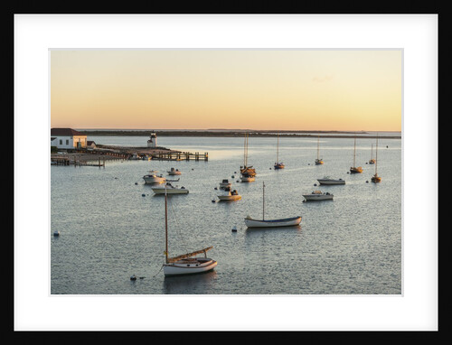 The Harbor by Anonymous