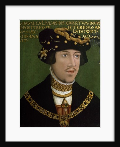 Portrait of Louis II of Hungary by Hans Krell