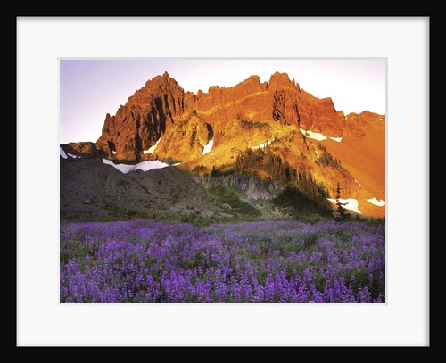 Three Fingered Jack Mountain by Anonymous