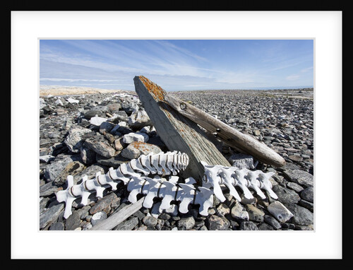 Whalers' Graves, Deadman Island, Nunavut, Canada by Anonymous