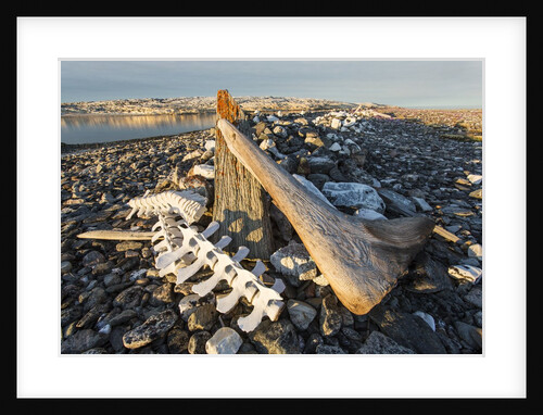 Whalers' Graves, Deadman Island, Nunavut, Canada by Anonymous