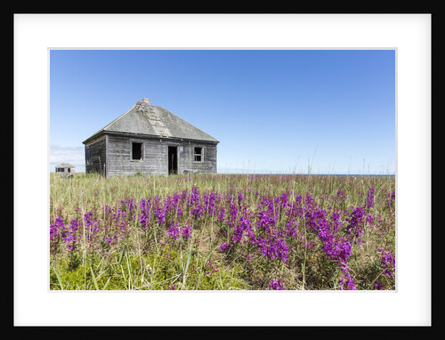 Abandoned Hudson Bay Company Trading Post, Canada by Anonymous