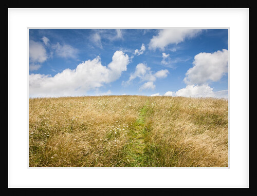 Max Patch Bald by Anonymous