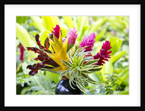 Hawaiian Tropical flower arrangement by Anonymous