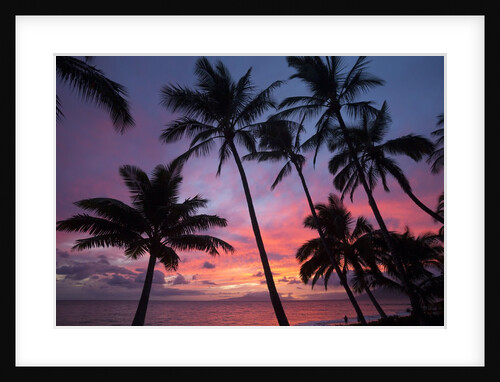 Palm trees at sunset on Keawekapu beach, Wailea, Maui, Hawaii by Anonymous