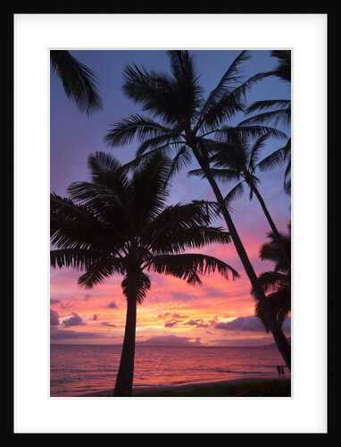 Palm trees at sunset on Keawekapu beach, Wailea, Maui, Hawaii by Anonymous