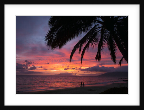 Palm trees at sunset on Keawekapu beach, Wailea, Maui, Hawaii by Anonymous