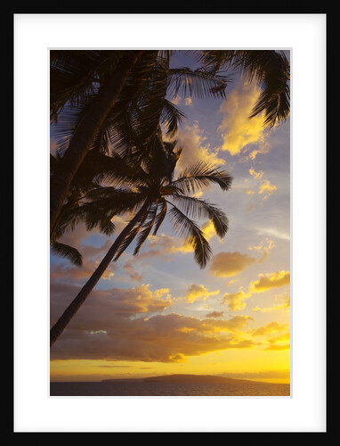 Sunset with palm trees in Kihei, Maui, Hawaii by Anonymous