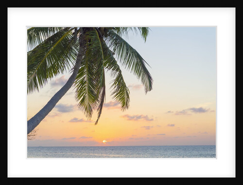 Sunset in The Maldives by Anonymous
