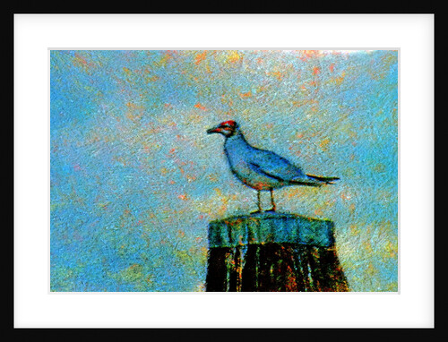 Bird by Anonymous