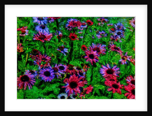 Flowers by Anonymous