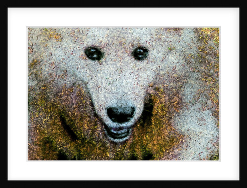 Dog by Anonymous